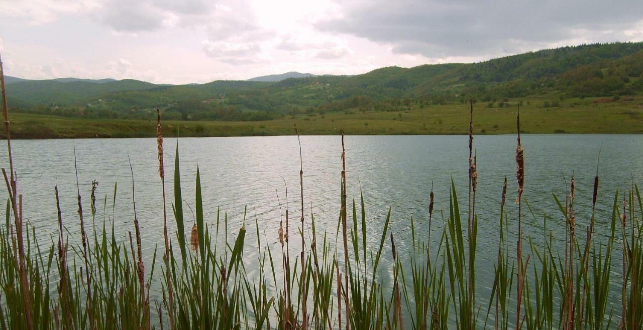 Вилла Eco Camp Drno Brdo Kosanica Экстерьер фото